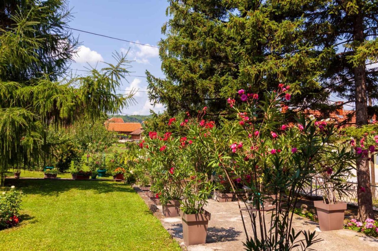 Studio 2 Golubac Exterior foto