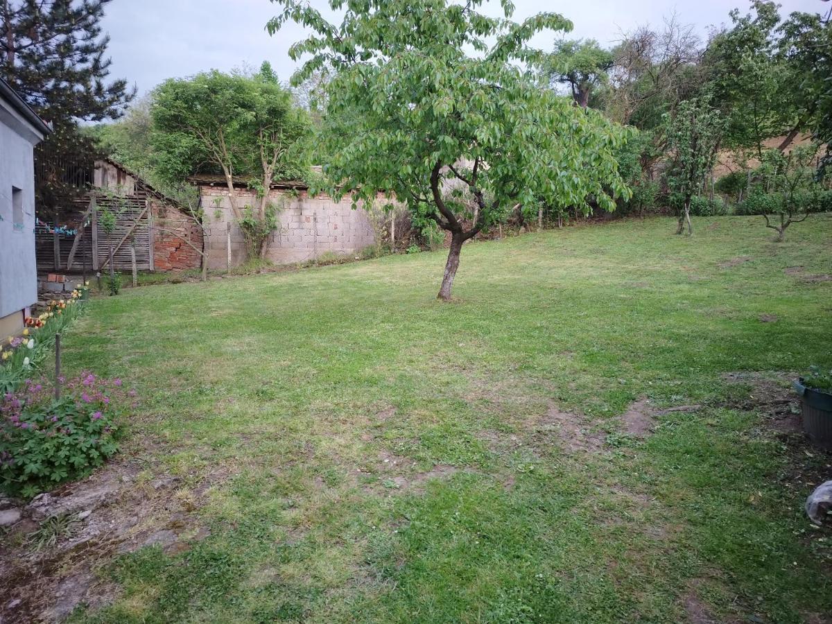 Studio 2 Golubac Exterior foto