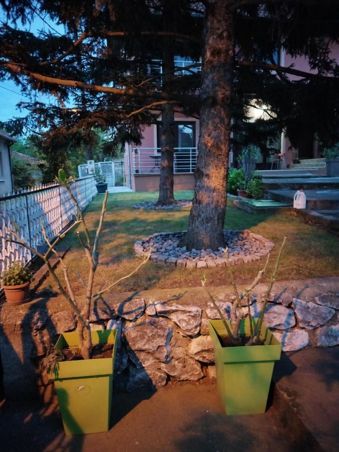 Studio 2 Golubac Exterior foto